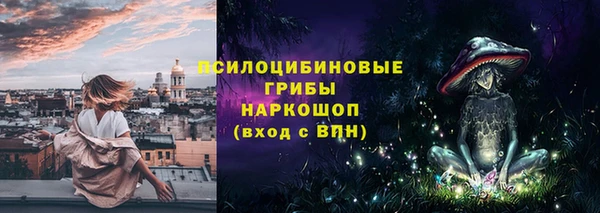стафф Белокуриха