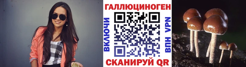 Купить закладки  Городец  Галлюциногенные грибы мицелий 